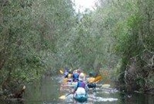 Middle Econ River Kayak Day Tour